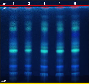Chromatogram of Moringa oleifera leaf
