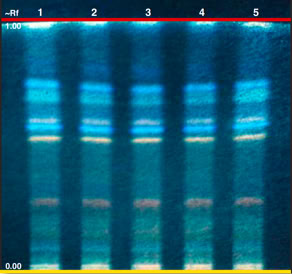 HPTLC chromatogram of Schisandra chinensis  fruit 4PE
