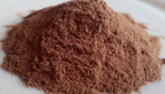 Close-up of Terminalia arjuna bark powder