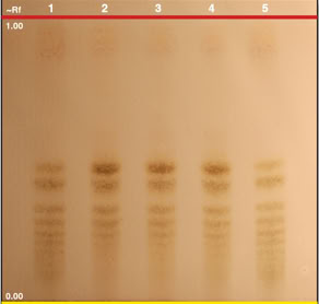 HPTLC chromatogram of Inula helenium root